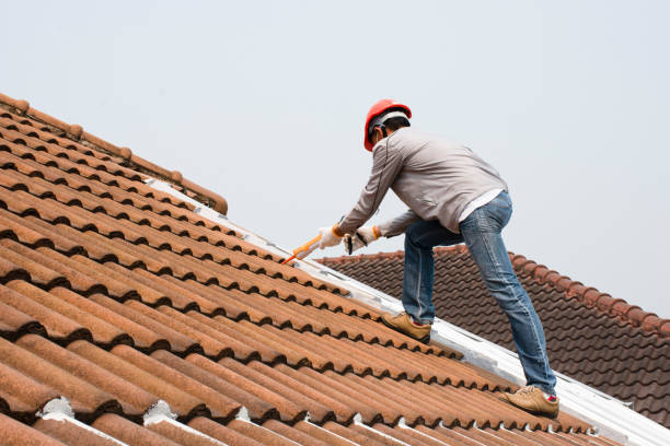 Best Metal Roofing Installation  in Prospect, PA